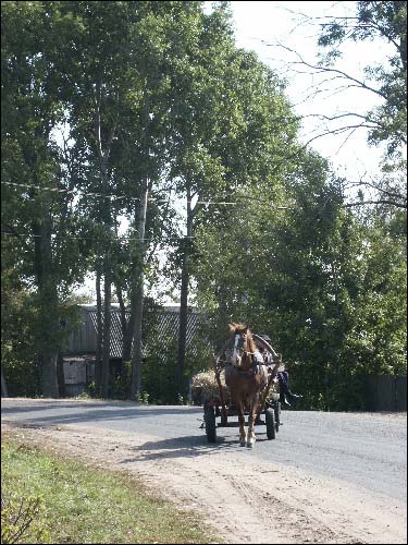 Turki. In the village