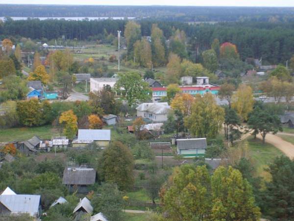  - Краявіды . 