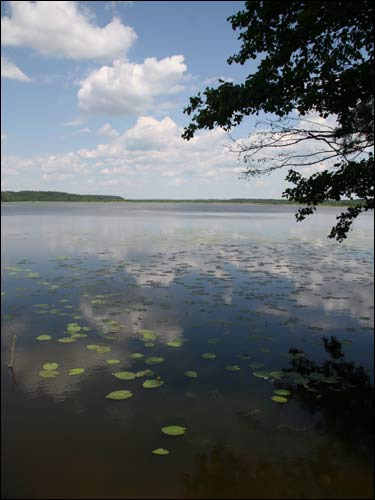 Czeczewicze. Krajobrazy 