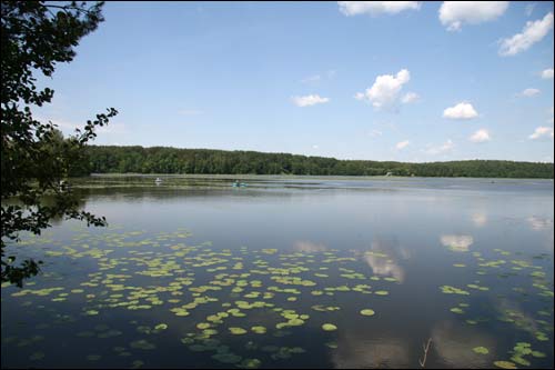 Czeczewicze. Krajobrazy 