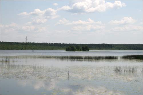 Czeczewicze. Krajobrazy 