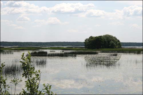 Čačevičy. Landscapes 
