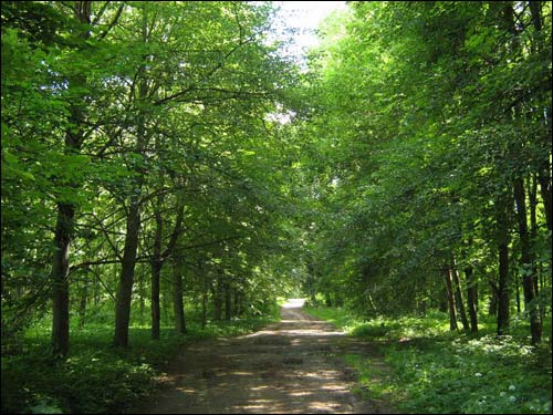 Hrudzinaŭka. Estate 