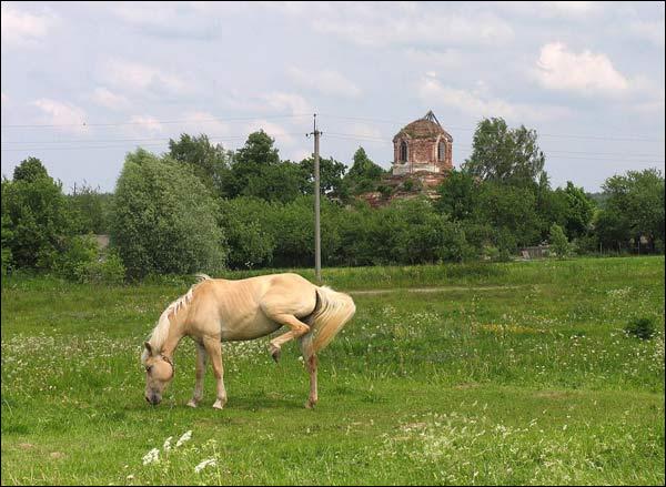Dudakowicze |  Cerkiew Opieki Matki Boskiej. 