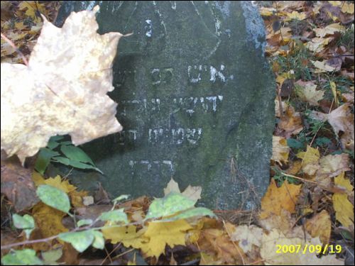 Климовичи. Кладбище еврейское Климовичи. Кладбище еврейское