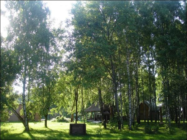 Rusiny.  Centrum rzemiosł