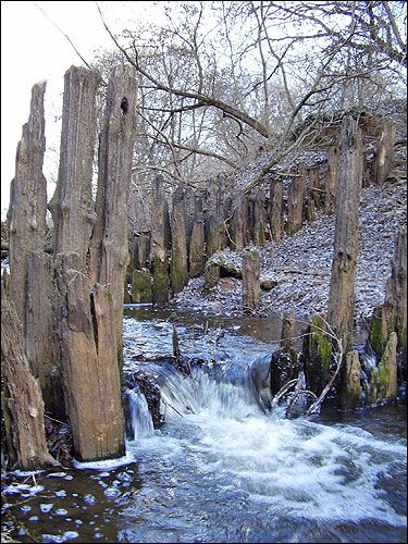  - Manor of Żukowski. 