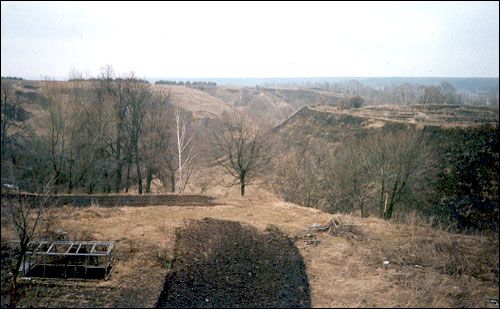 Mścisław. Grodzisko 