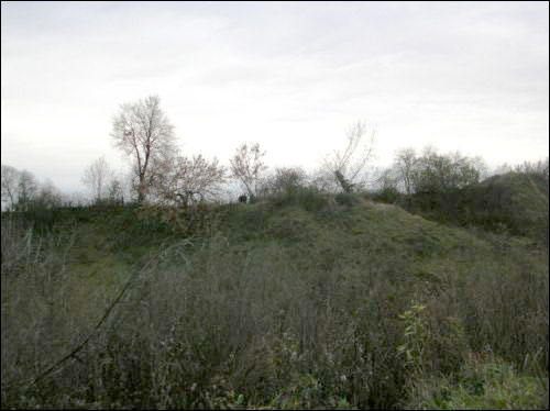 Mścisław. Grodzisko 