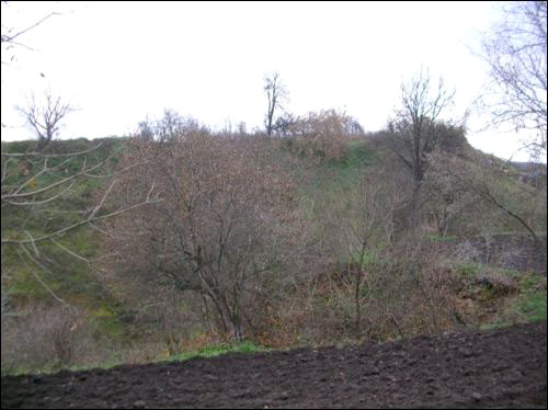 Mścisław. Grodzisko 