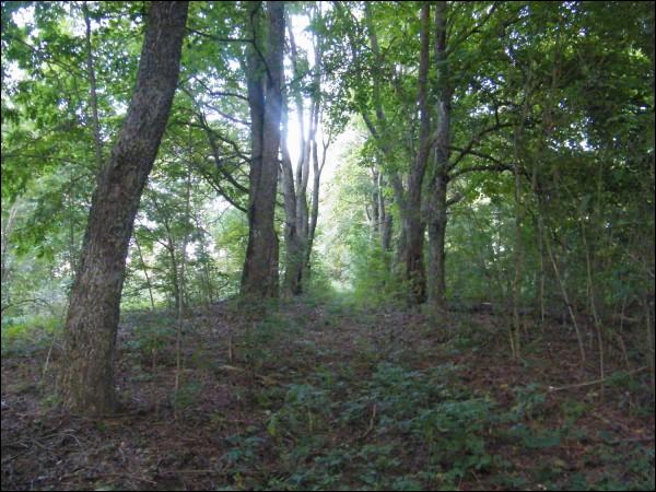 Biarozaŭka. Manor park 