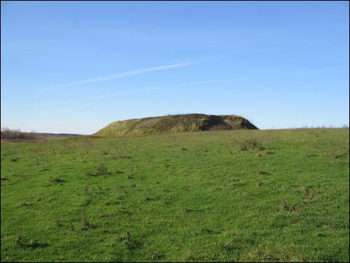 Сметаничи. Городище 