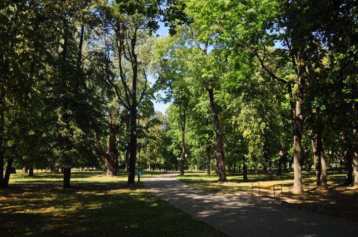  - Прысядзібны парк пры былой сядзібе Крывашэіна. 