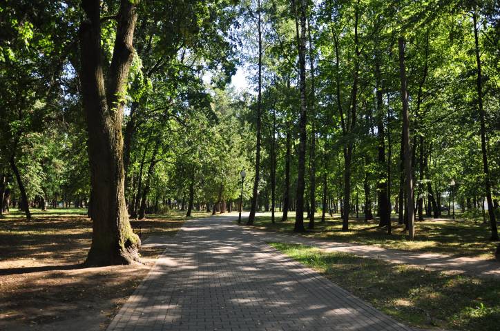  - Прысядзібны парк пры былой сядзібе Крывашэіна. 