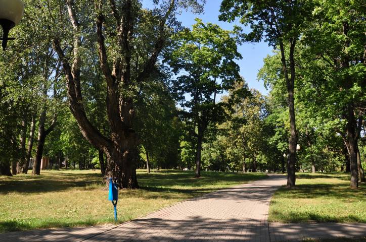 Шклоў. Прысядзібны парк пры былой сядзібе Крывашэіна