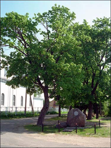 Stołowicze |  W miasteczku . Głaz upamiętniający bitwę pod Stołowiczami