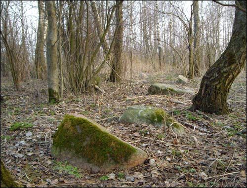  - Cmentarz żydowski. 