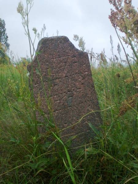 Белыничи. Кладбище еврейское Белыничи. Кладбище еврейское