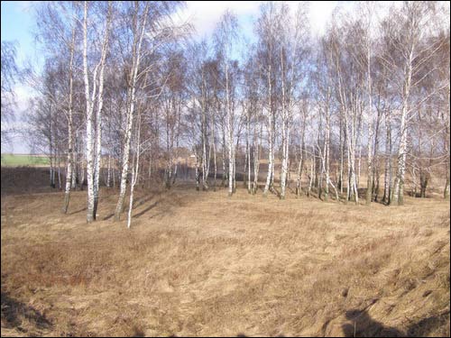 Staraja Myš.  Ramparts of the Chadkievič former castle