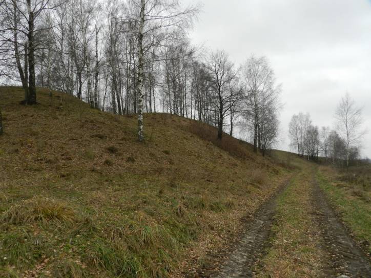  -  Wały dawnego zamku Chodkiewiczów. 