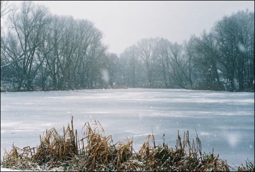 Koniuchy. Krajobrazy 