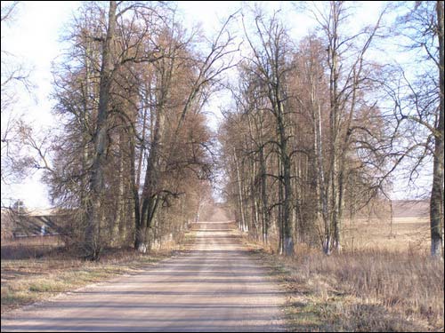 Старая Мыш. Краявіды 