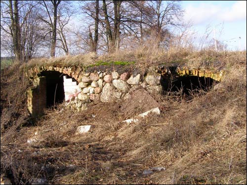  - Краявіды . Рэшткі скляпеньняў палацу Несялоўскіх