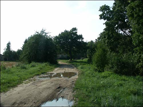 Janavičy. Manor of Jeleński