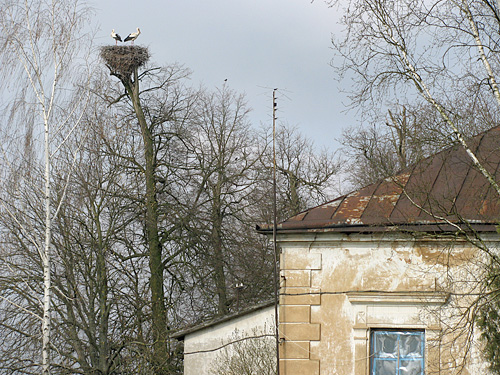 Janavičy. Manor of Jeleński