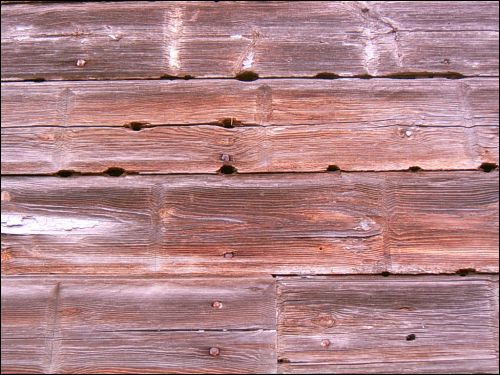  - Усадебно-парковый ансамбль Радзивиллов. Кирпичики из дерева