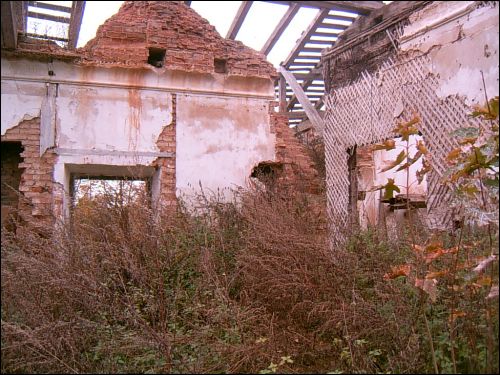  - Усадебно-парковый ансамбль Радзивиллов. Руины