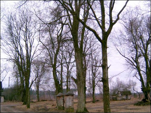 Strałkava. Manor of Strzałko