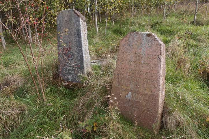 Лебедзева. Могілкі габрэйскія