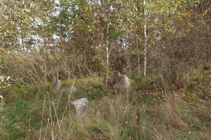 Лебедзева. Могілкі габрэйскія