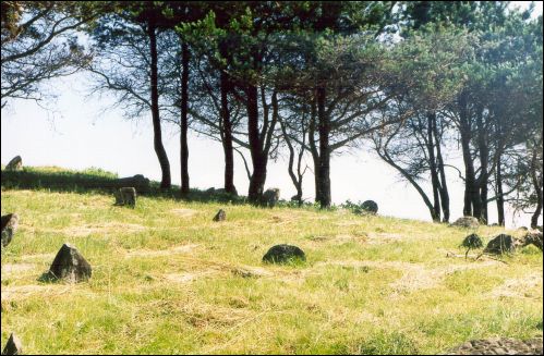 Radaškovičy. cemetery Jewish