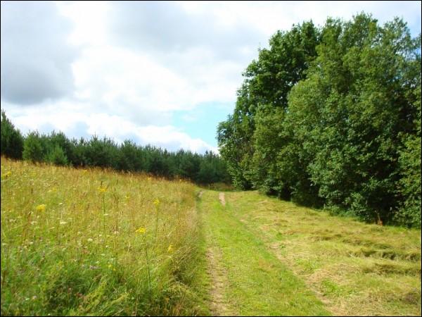 Rakucioŭščyna.  Maksim Bahdanovič Museum