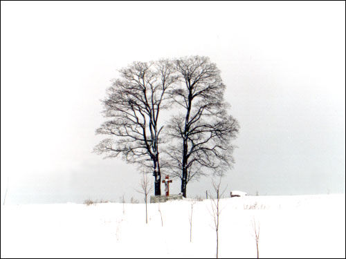  -  Maksim Bahdanovič Museum. 