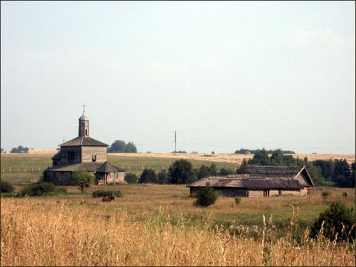  ().   