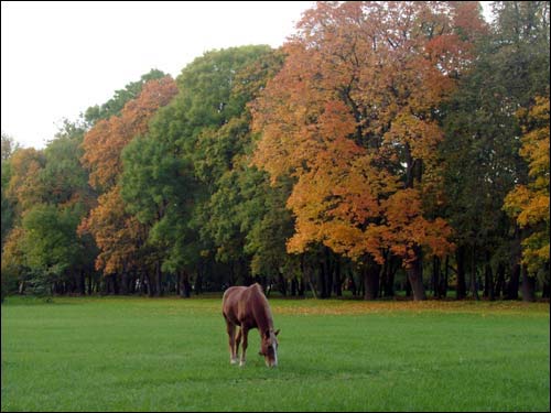 Minsk. Manor of Lubanski