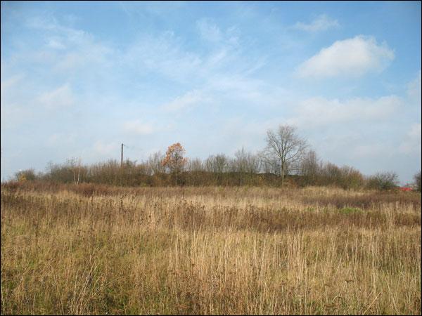 Zasłaŭie. Site of ancient settlement «Zamečak»