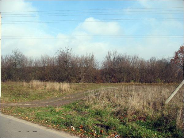 Zasłaŭie. Site of ancient settlement «Zamečak»