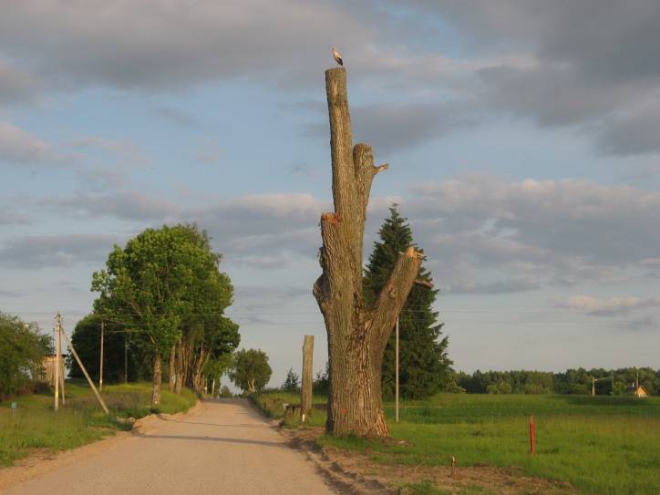 Alševa. Farmstead of Chaminski (Chomiński)