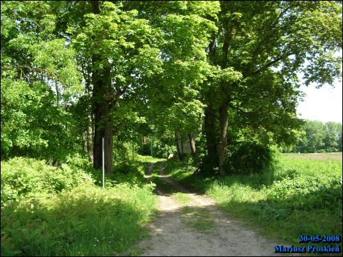  - Гаспадарчы двор Хамінскіх. 
