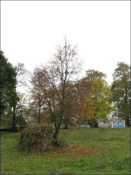 Ольшево. В деревне 