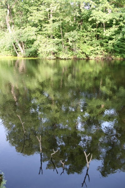 Park «Alba» .   - Park «Alba».