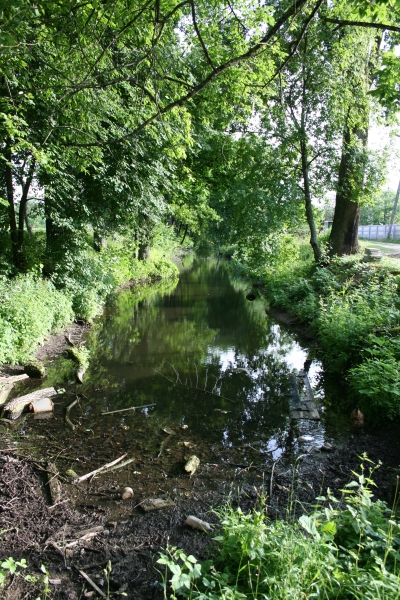 Park «Alba» .   - Park «Alba».