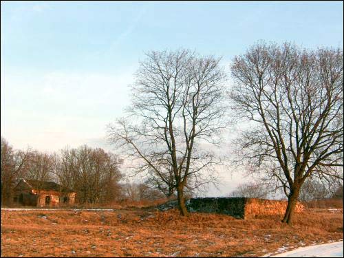  - Farmstead of Maraŭski. 