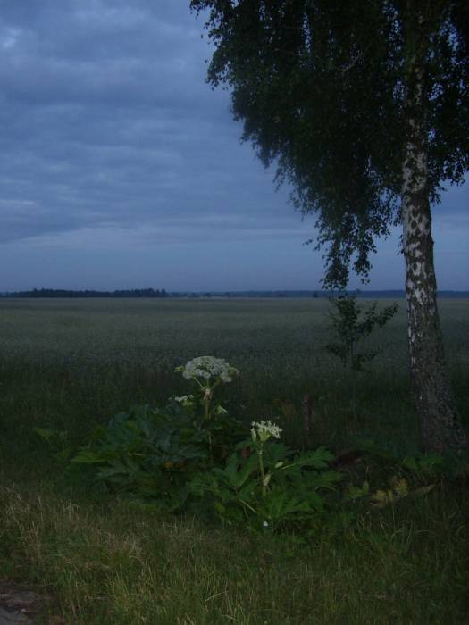Paśkowa Horka |  Stacja pocztowa . 