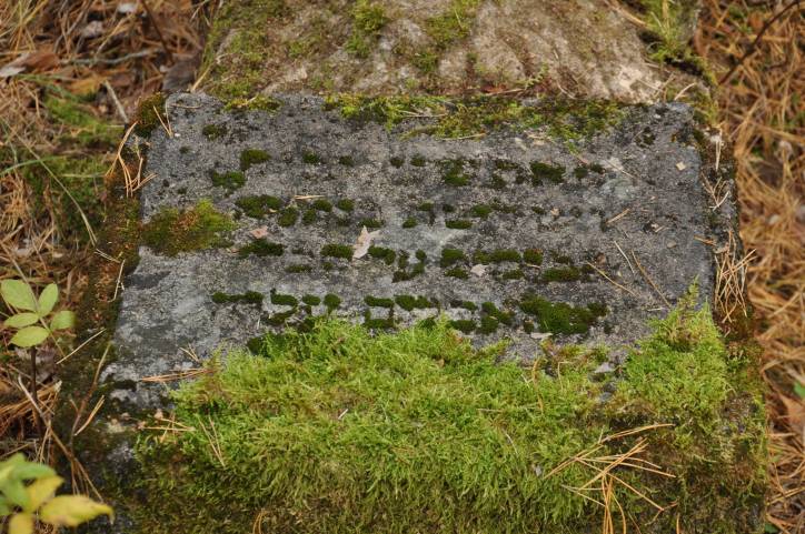 Свержень Новый. Кладбище еврейское