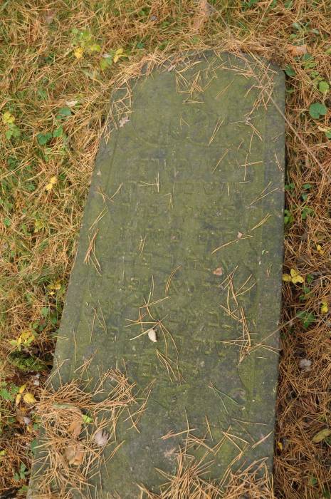 Свержень Новый |  Кладбище еврейское. 